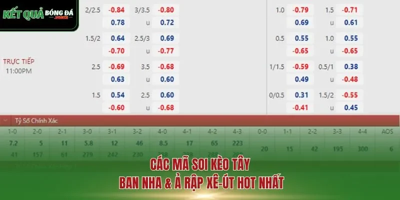 Các mã soi kèo Tây Ban Nha & Ả Rập Xê-út hot nhất