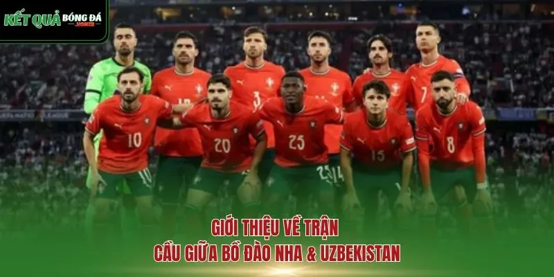 Giới thiệu về trận cầu giữa Bồ Đào Nha & Uzbekistan